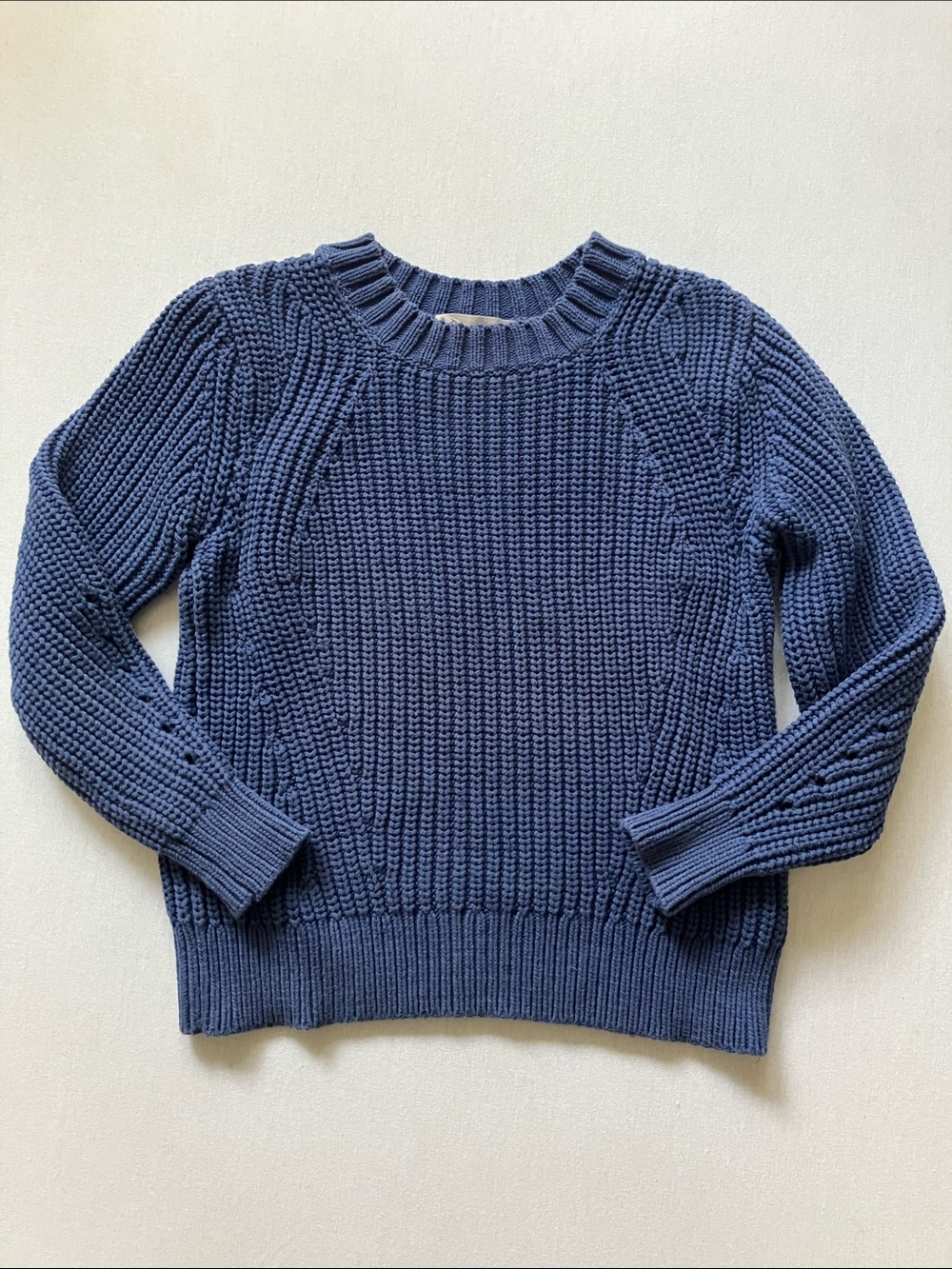 Everlane Navy Chunky Knit Crewneck Sweater